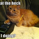 Illustration for article titled Steam Link - The PHC Review (With Cat Pictures)